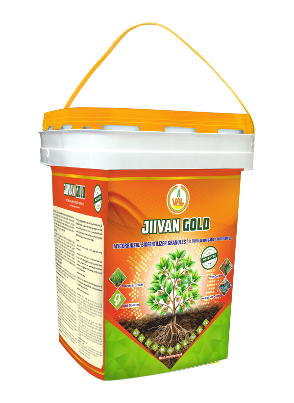 Jiivan Gold Bucket Finall