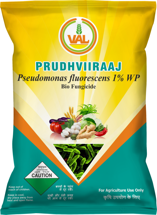 prudhviiraaj new1